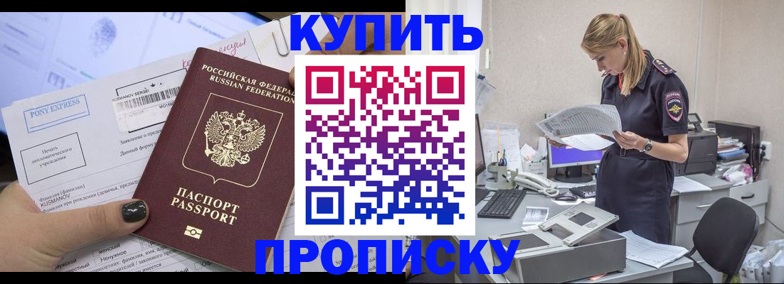 временная регистрация поиск в Димитровграде